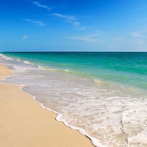 Meet your Posher, Jacki